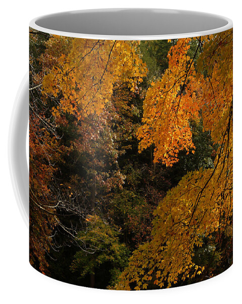 Autumn Coffee Mug featuring the photograph Into the Fall by Michael McGowan