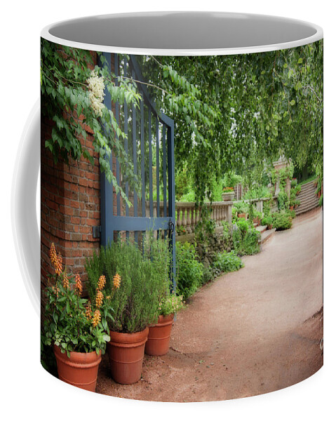 Into The Garden Coffee Mug featuring the photograph Into the Garden by Patty Colabuono