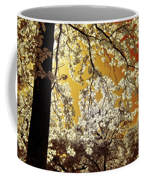 Infrared Coffee Mug featuring the photograph Into the Golden Sun by Linda Unger