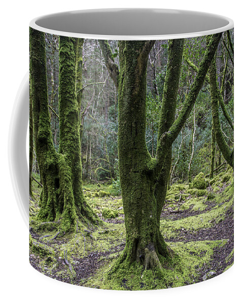 Original Coffee Mug featuring the photograph Into the Irish woods by WAZgriffin Digital