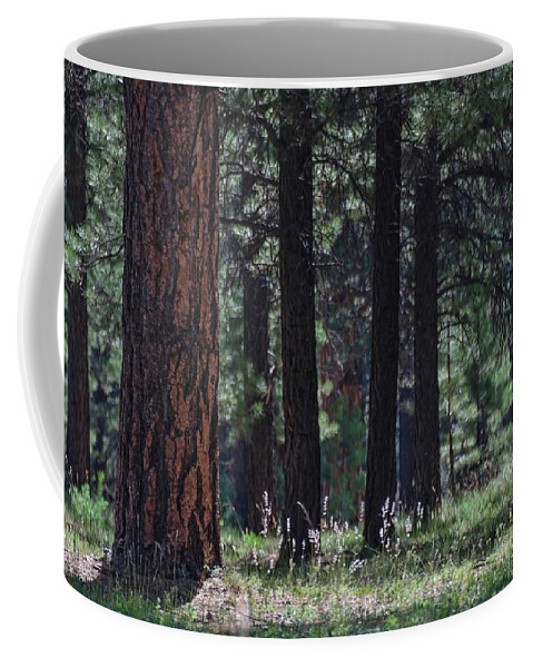Arizona Coffee Mug featuring the photograph Into the light there be shadows by Gaelyn Olmsted