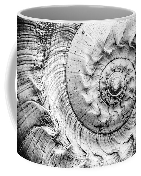 Spiral Coffee Mug featuring the photograph Into The Spiral 2 by Jaroslav Buna