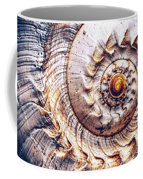 Spiral Coffee Mug featuring the photograph Into The Spiral by Jaroslav Buna