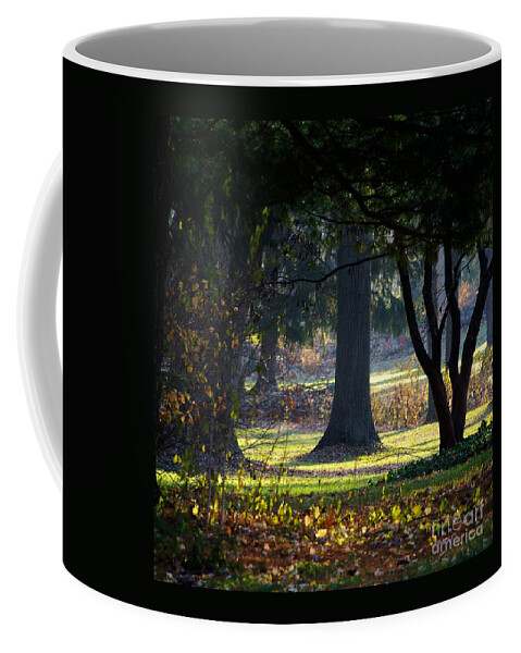 Frank J Casella Coffee Mug featuring the photograph Intrigued by the Light by Frank J Casella