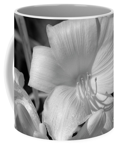 Joshua Mimbs Coffee Mug featuring the photograph IR Flower II by FineArtRoyal Joshua Mimbs