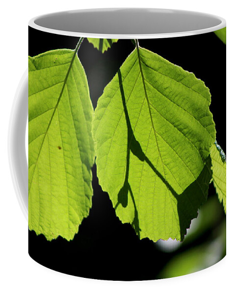 Bright Green Coffee Mug featuring the photograph Iridescent Glow - Beechnut Leaves by Colleen Cornelius