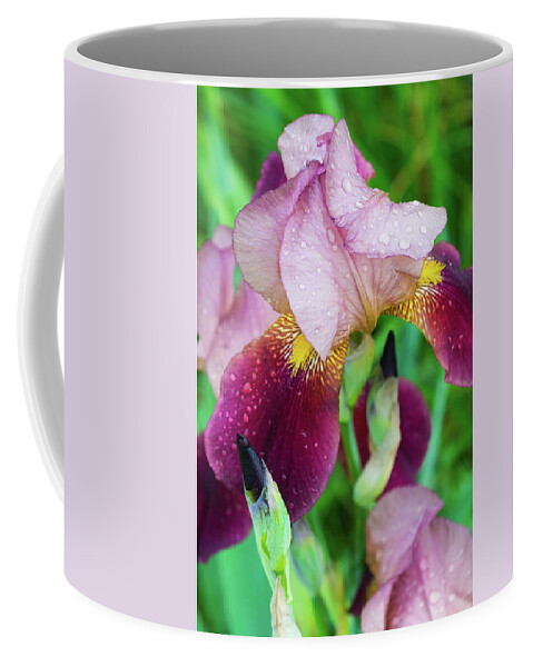 Bloom Coffee Mug featuring the photograph Iriis After Rain by John Benedict