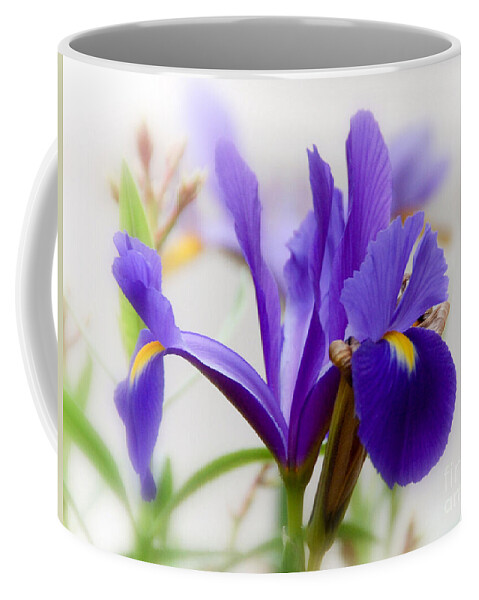 Botanicals Coffee Mug featuring the photograph Spring Iris by Elaine Manley
