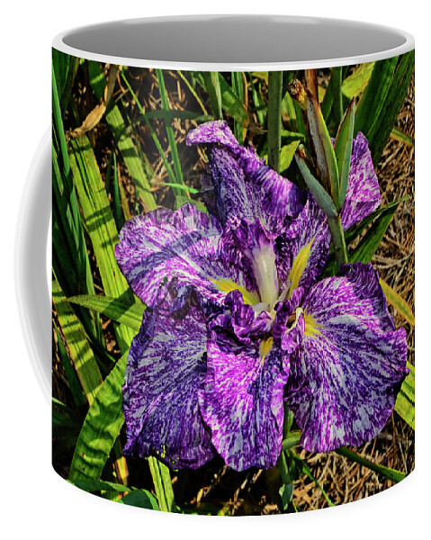 Iris Coffee Mug featuring the photograph Iris ensata - Japanese Iris Umi Botaru 011 by George Bostian