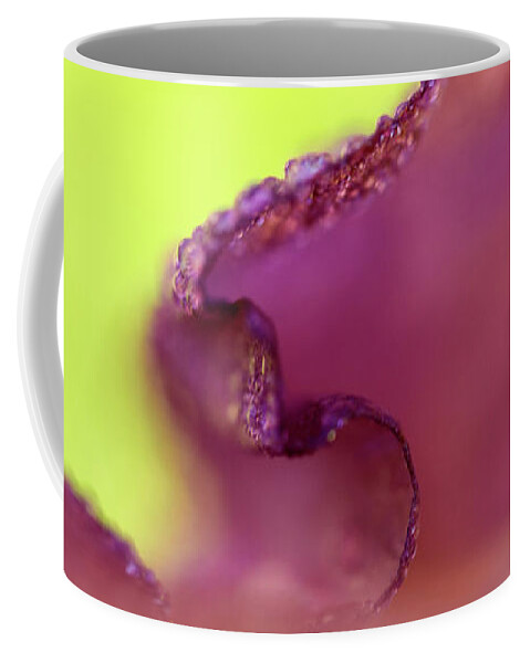 Contempoary Photograph Of An Iris Flower Coffee Mug featuring the photograph Iris in Lavender and Green by Iris Richardson