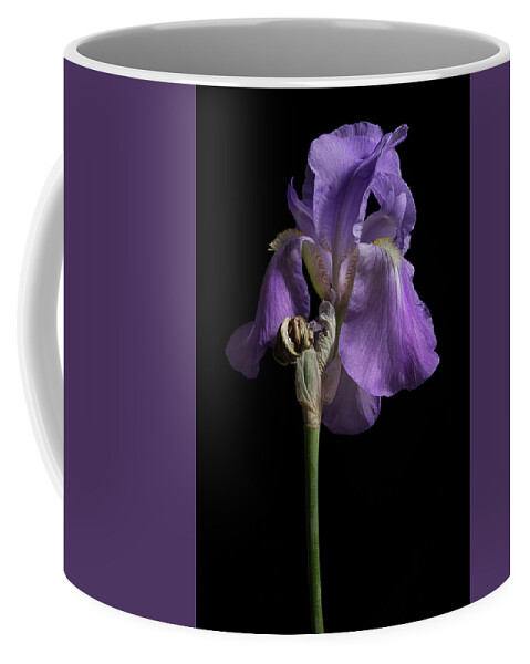 Purple Iris Coffee Mug featuring the photograph Iris Series 1 by Mike Eingle