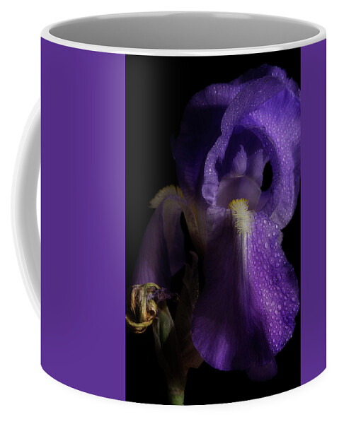 Purple Iris Coffee Mug featuring the photograph Iris Series 4 by Mike Eingle