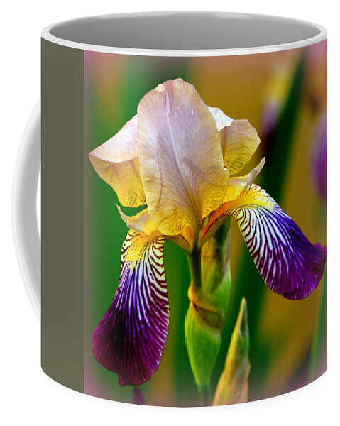 Iris Stepping Out Coffee Mug featuring the photograph Iris Stepping Out by Kimberly Woyak