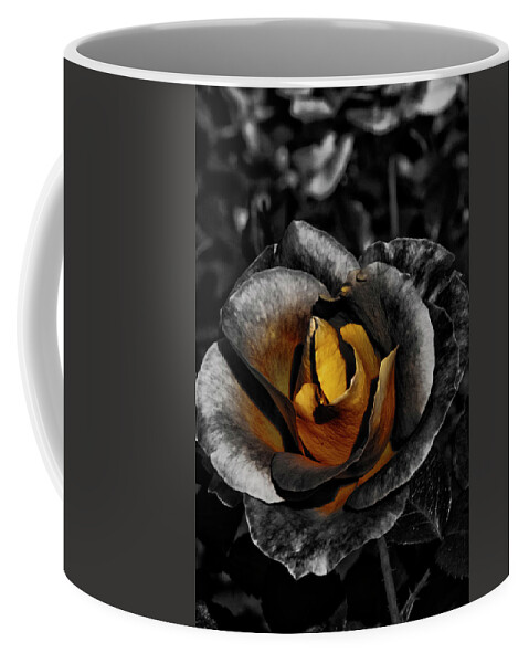 Yellow Rose Coffee Mug featuring the photograph Iron Rose by Cate Franklyn