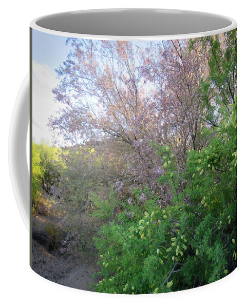 Afternoon Light Coffee Mug featuring the photograph Ironwood and Mesquite Blooming Together by Judy Kennedy