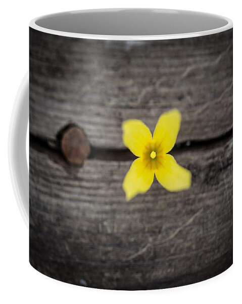 Awakening Coffee Mug featuring the photograph Isabellas Flower Arrangement by Jakub Sisak