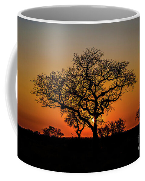 African Coffee Mug featuring the photograph Isimangaliso Wetland Park by Benny Marty