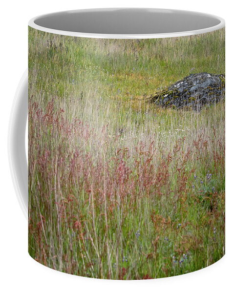 Oregon Coast Coffee Mug featuring the photograph Island Field by Tom Singleton