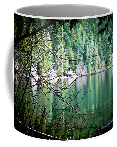 Vancouver Island Coffee Mug featuring the photograph Lake Cathedral Grove by Donna L Munro