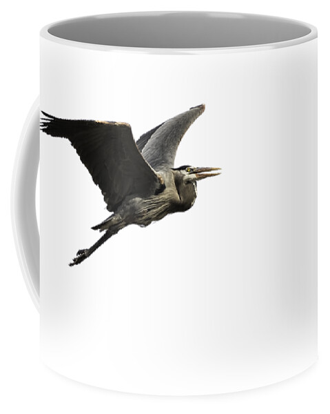 Great Blue Heron Coffee Mug featuring the photograph Isolated Great Blue Heron 2015-3 by Thomas Young