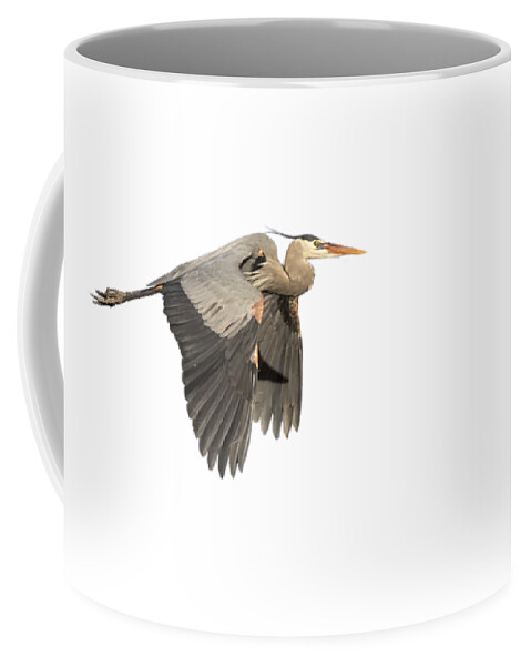 Great Blue Heron Coffee Mug featuring the photograph Isolated Great Blue Heron 2015-5 by Thomas Young