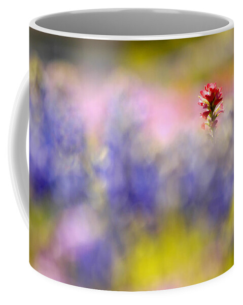 Paintbrush Coffee Mug featuring the photograph Isolated Paintbrush by Ted Keller