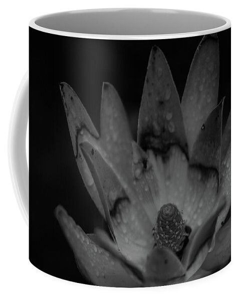 Flower Coffee Mug featuring the photograph It rained by Lora Lee Chapman