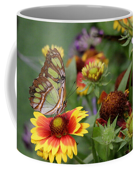 Butterfly Coffee Mug featuring the photograph It's A Colorful World by Living Color Photography Lorraine Lynch