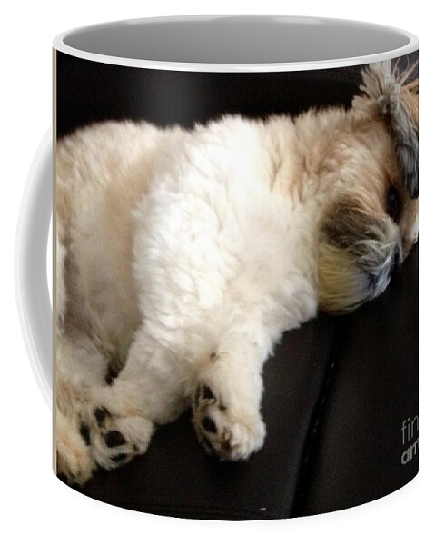 Murray Coffee Mug featuring the photograph Its a dogs life.... by Lisa Koyle