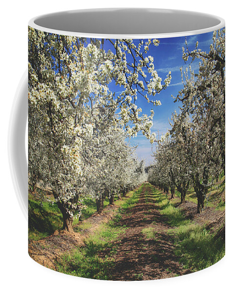 Fresno Blossom Trail Coffee Mug featuring the photograph It's a New Day by Laurie Search
