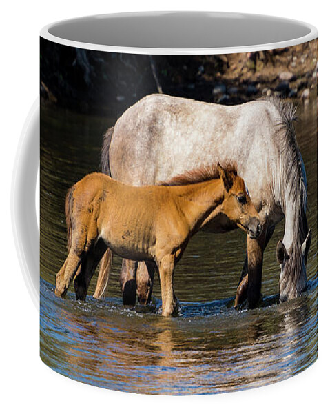 Wild Coffee Mug featuring the photograph It's in Here Somewhere by Douglas Killourie
