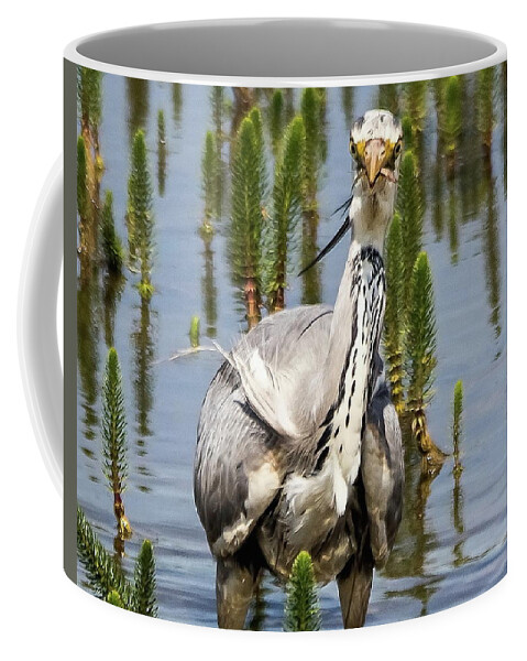 Grey Heron Coffee Mug featuring the photograph Its not big enough to share by Jeff Townsend