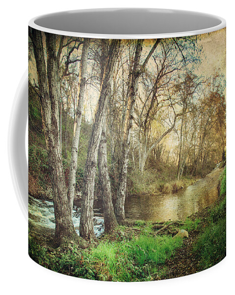 Angels Camp Coffee Mug featuring the photograph It's Passed Me By by Laurie Search