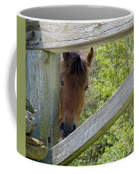 Pony Coffee Mug featuring the photograph I've Been Framed by Jim Cook