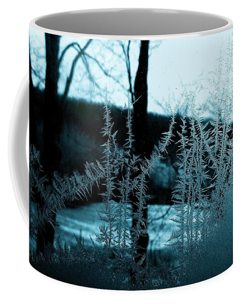 Ice Coffee Mug featuring the photograph Jack's Return by Danielle R T Haney