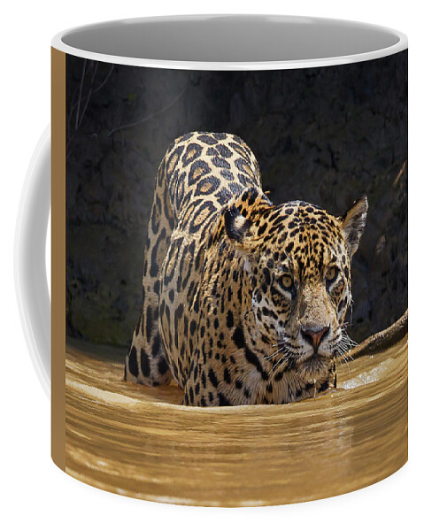 2016 Coffee Mug featuring the photograph Jaguar by Jean-Luc Baron