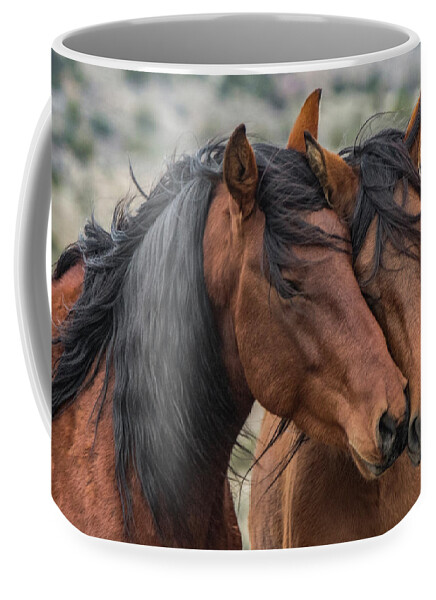 Mustangs Coffee Mug featuring the photograph Jake and Wilma by John T Humphrey