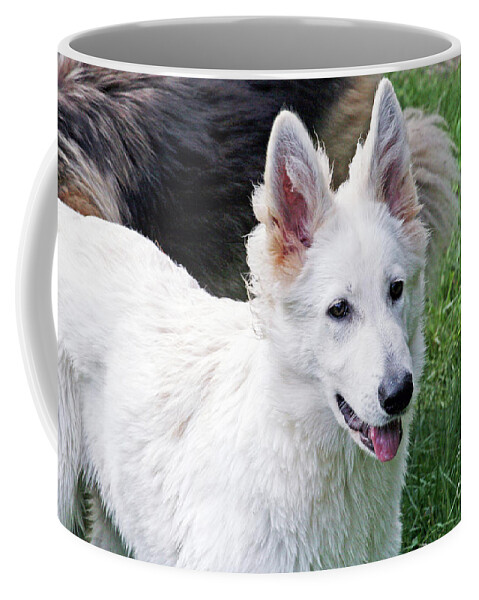  Coffee Mug featuring the photograph Janie as a pup by Margaret Hood