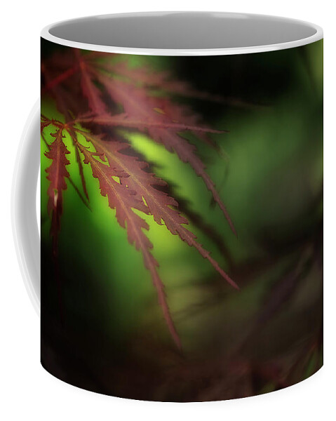 Leaves Coffee Mug featuring the photograph Japanese Maple by Mike Eingle