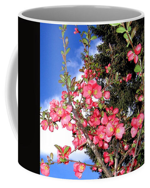 Japonica Coffee Mug featuring the photograph Japonica by Will Borden