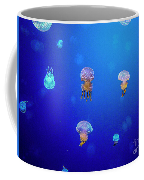 Aquarium Coffee Mug featuring the photograph Jellies by Nancy L Marshall