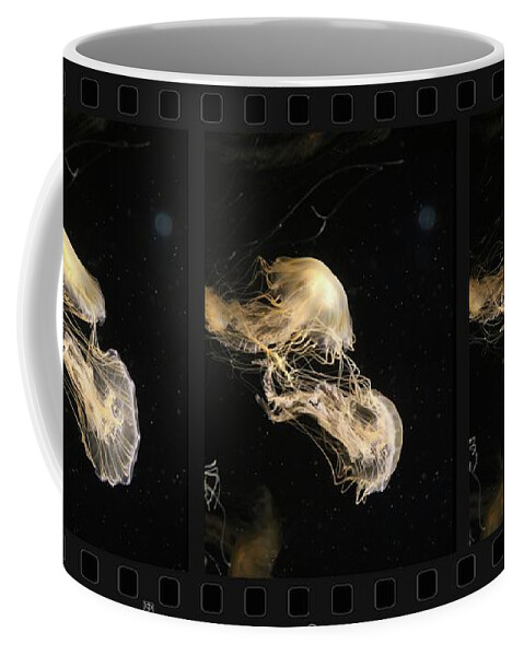 Jellyfish Coffee Mug featuring the photograph Jellyfish Dance by John Meader