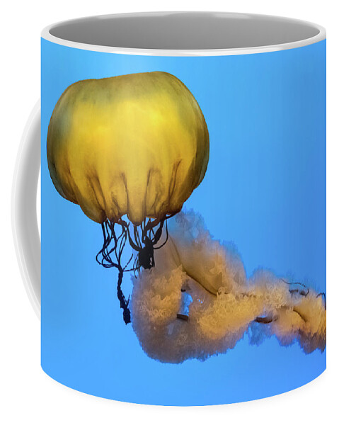 Jellyfish Coffee Mug featuring the photograph Jellyfish Baltimore Acquarium by Steven Richman