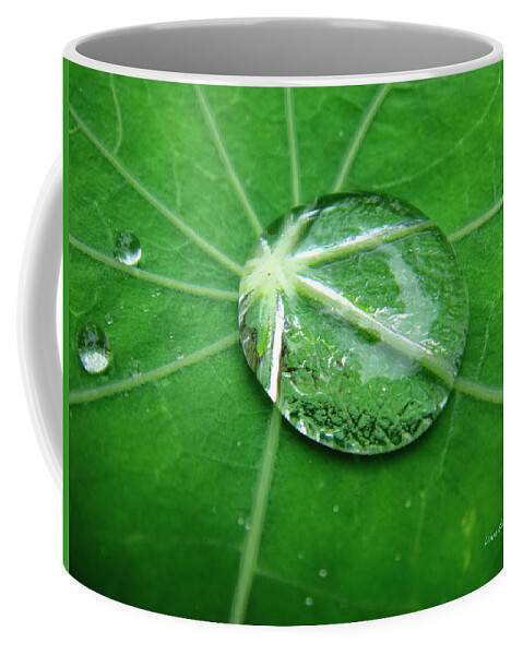 Water Coffee Mug featuring the photograph Jewel Of The Nile by Donna Blackhall