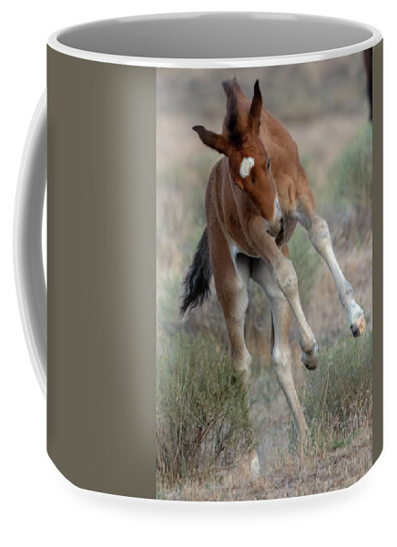 Foal Coffee Mug featuring the photograph _z3a1063 by John T Humphrey