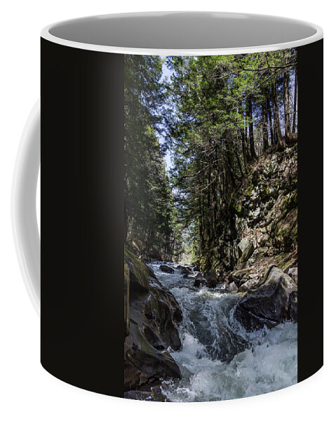 Rapids Coffee Mug featuring the photograph Joe's Brook by Tim Kirchoff