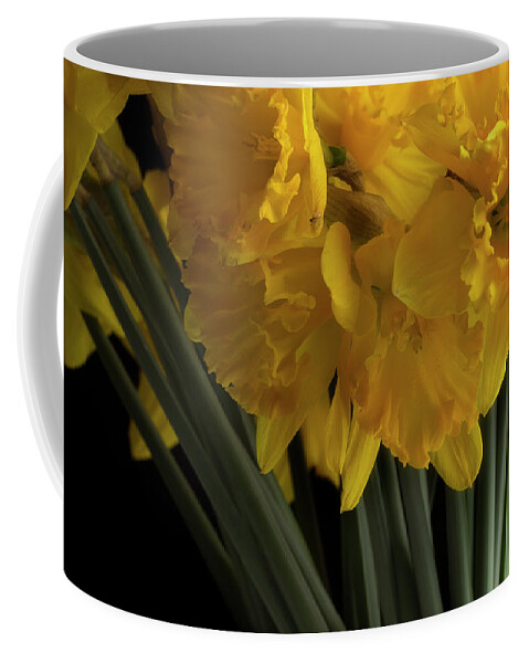 Flowers Coffee Mug featuring the photograph Jonquils by Mike Eingle