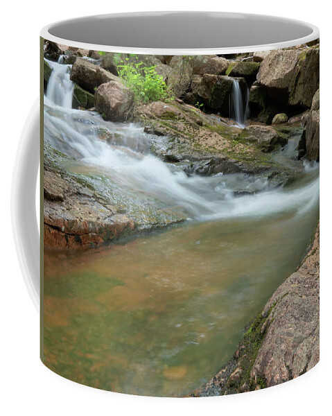 Acadia National Park Coffee Mug featuring the photograph Jordan Stream by Holly Ross