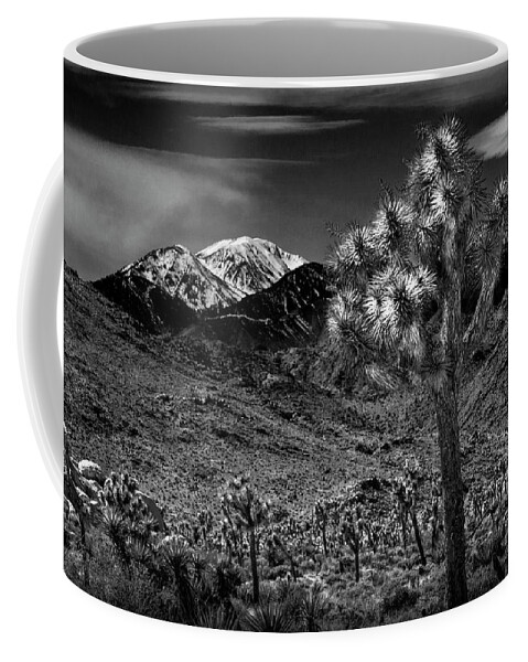 California Coffee Mug featuring the photograph Joshua Tree in Black and White in Joshua Park National Park with the Little San Bernardino Mountains by Randall Nyhof
