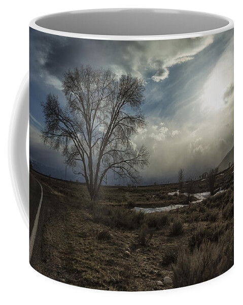 Tree Coffee Mug featuring the photograph Journey by Belinda Greb